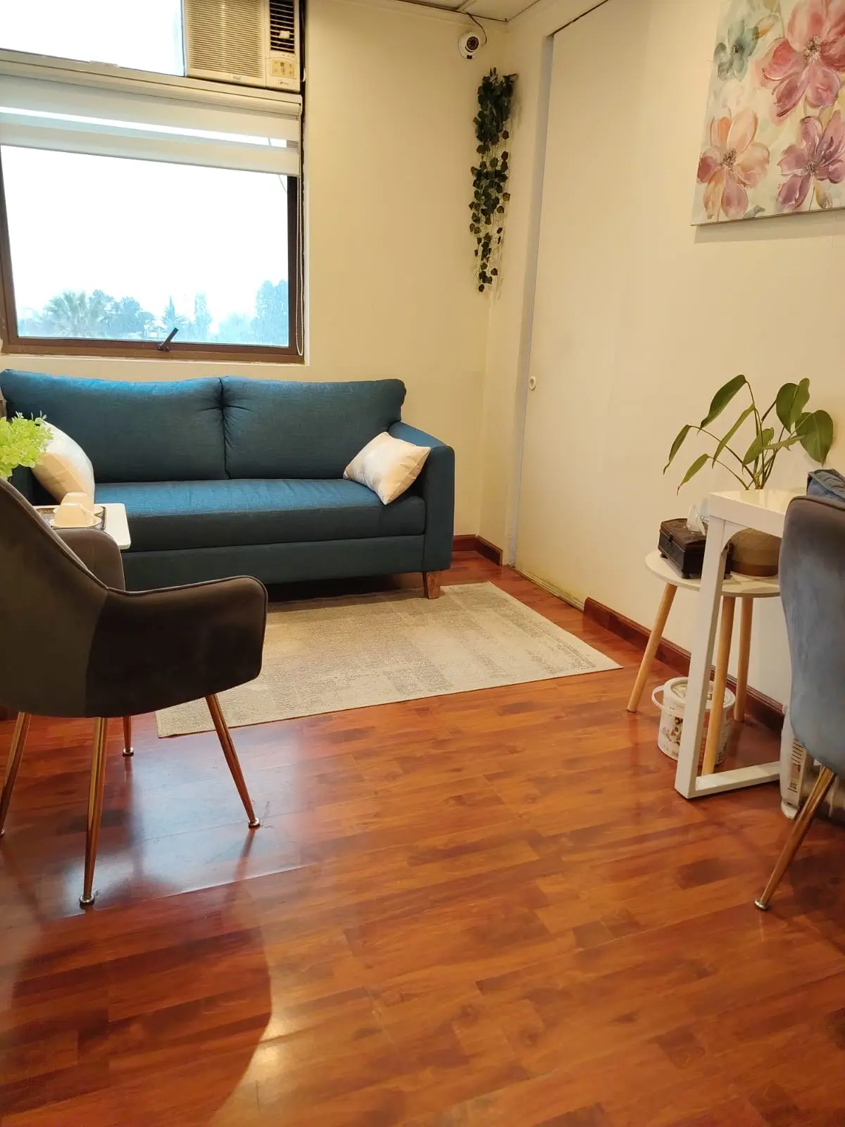Sala de atención amplia con sofá azul, sillones grises, plantas y luz natural