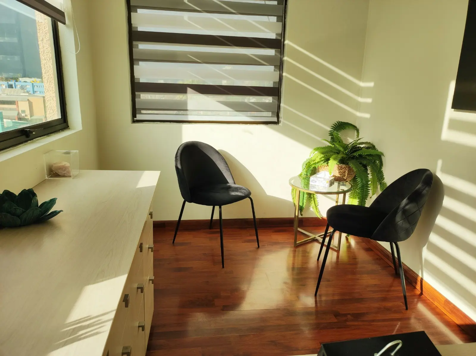 Consultorio luminoso con dos sillas negras, planta y vista hacia el exterior